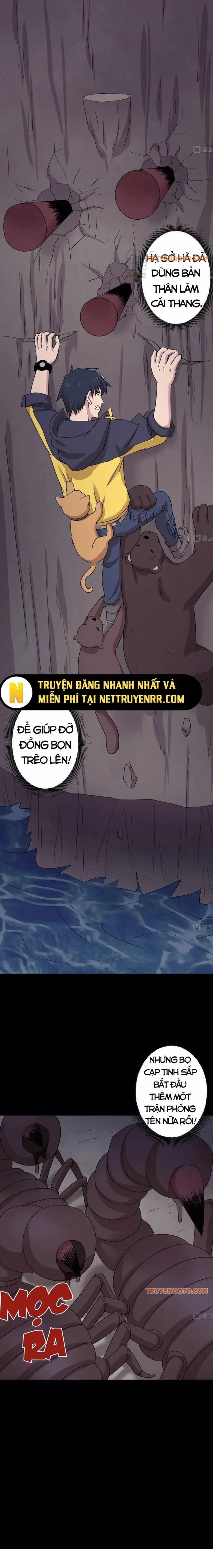 Thiên Thần Shipper