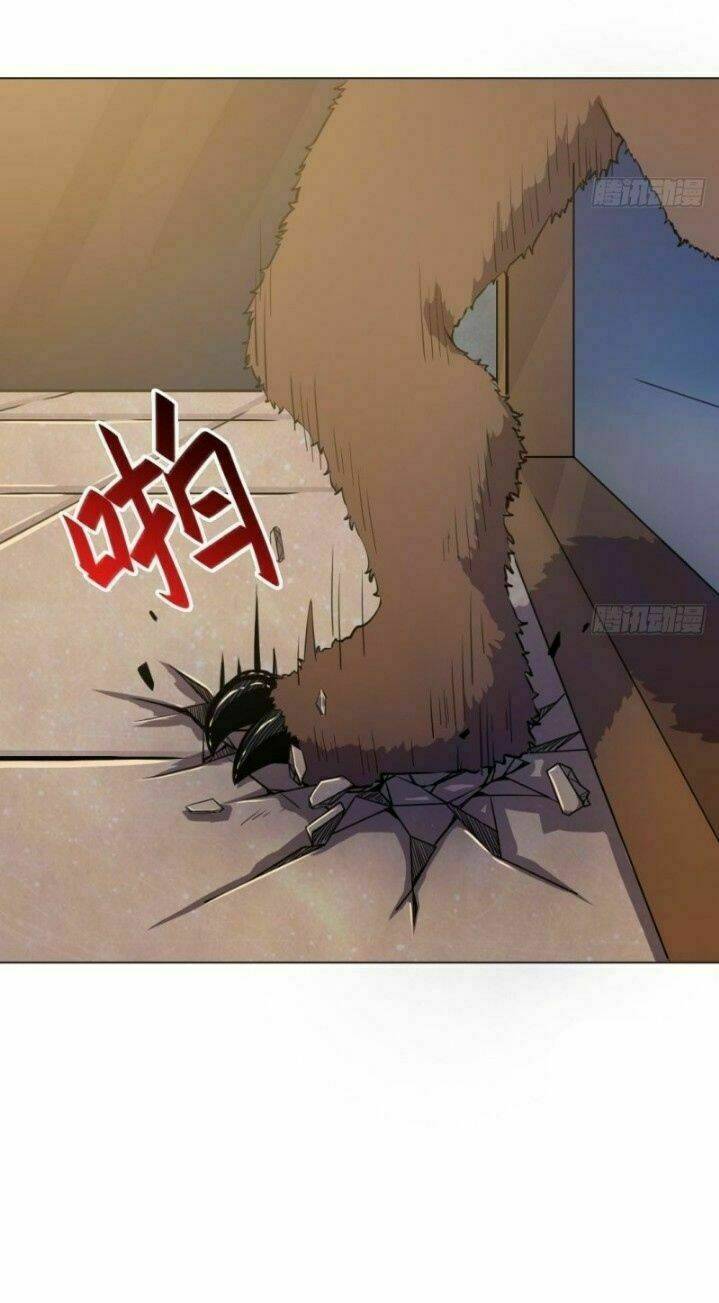 Thiên Thần Shipper