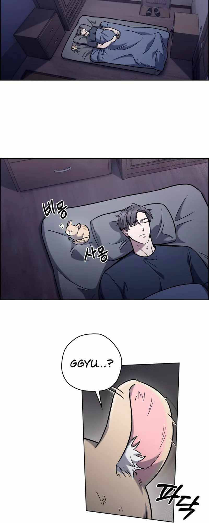 Shipper đến từ murim