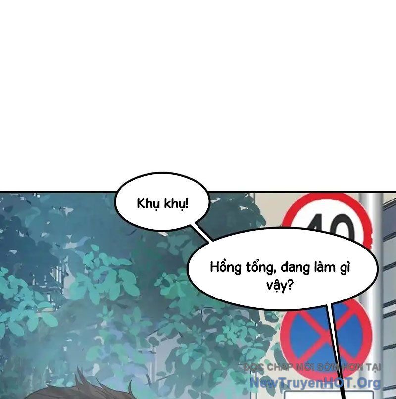 Ta Không Muốn Trùng Sinh Đâu