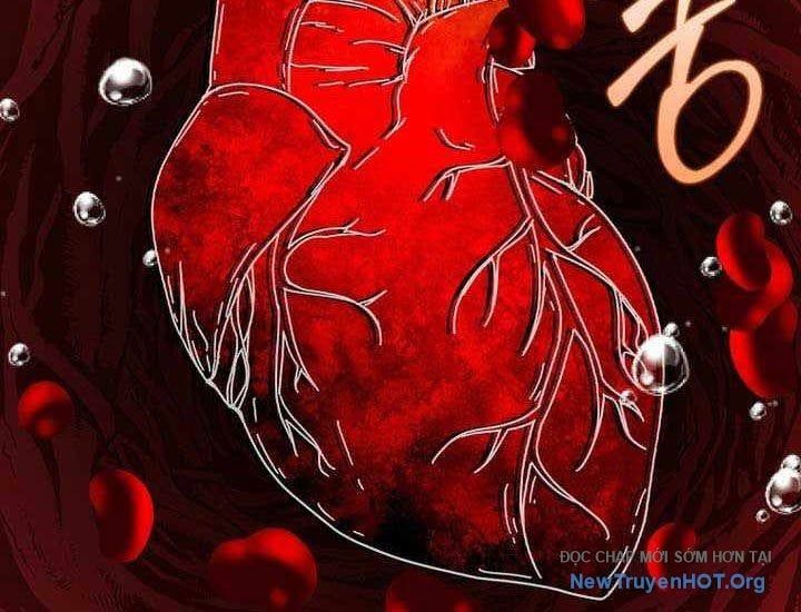 Thiên Tài Võ Thuật Hồi Quy