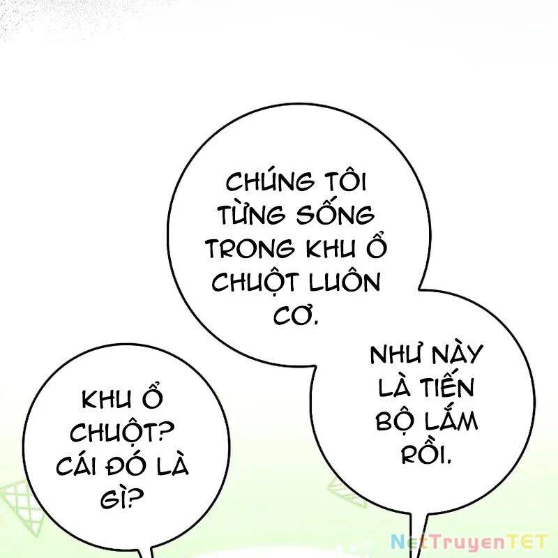 Thiên Tài Võ Thuật Hồi Quy