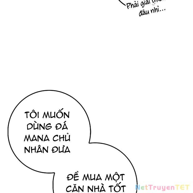 Thiên Tài Võ Thuật Hồi Quy