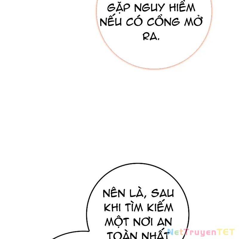 Thiên Tài Võ Thuật Hồi Quy