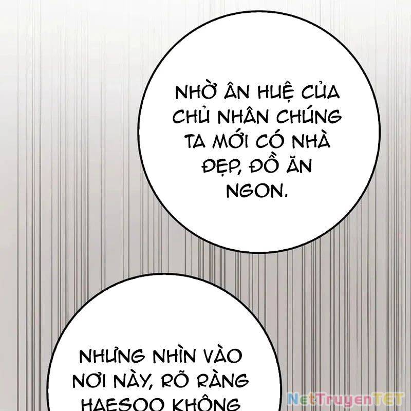 Thiên Tài Võ Thuật Hồi Quy