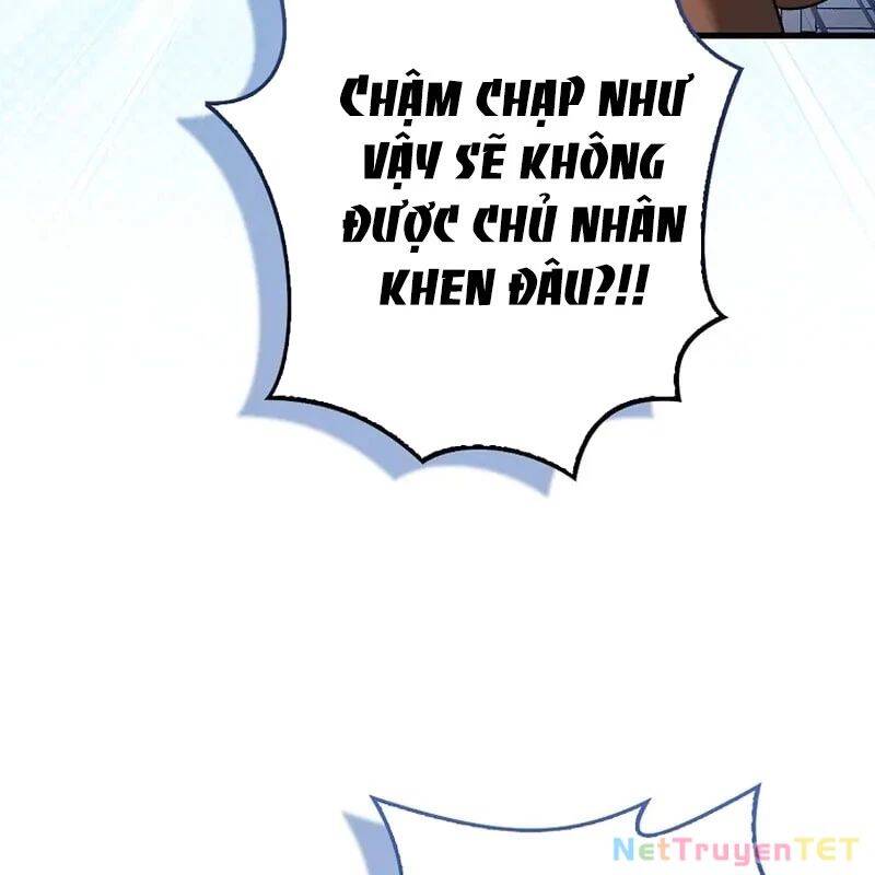Thiên Tài Võ Thuật Hồi Quy