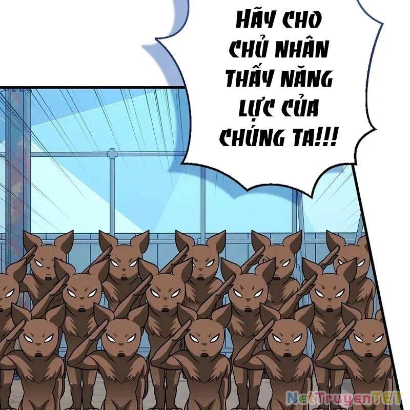 Thiên Tài Võ Thuật Hồi Quy