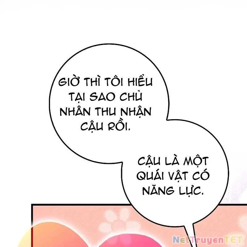 Thiên Tài Võ Thuật Hồi Quy