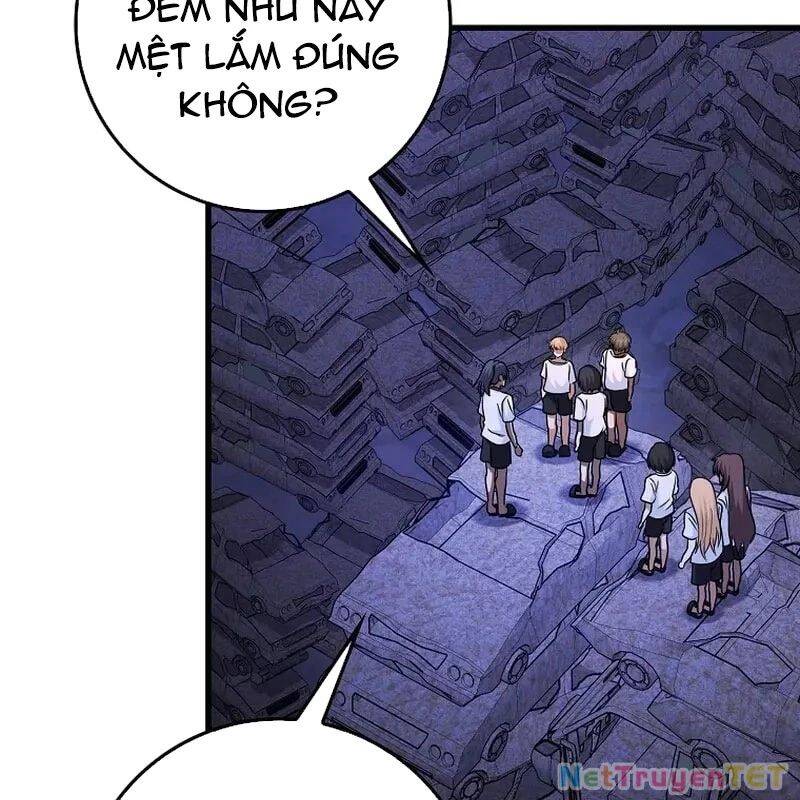 Thiên Tài Võ Thuật Hồi Quy