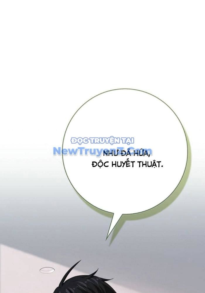 Thiên Tài Võ Thuật Hồi Quy