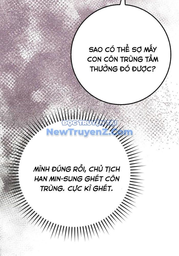 Thiên Tài Võ Thuật Hồi Quy