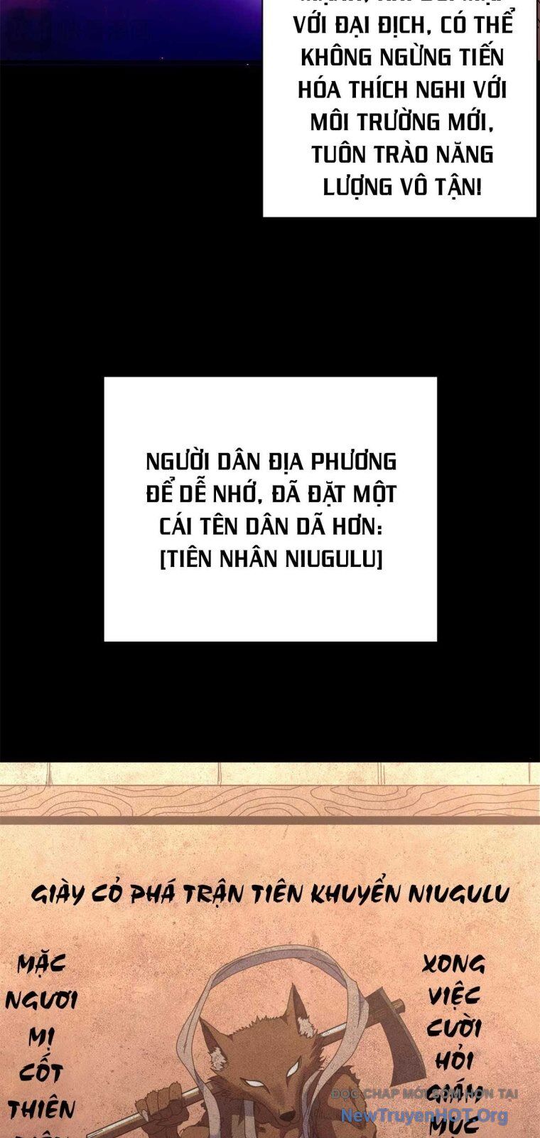 Trưởng Giám Ngục Trông Coi Các Ma Nữ