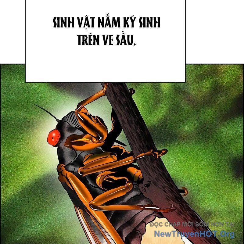 Nhân Trùng Đại Chiến