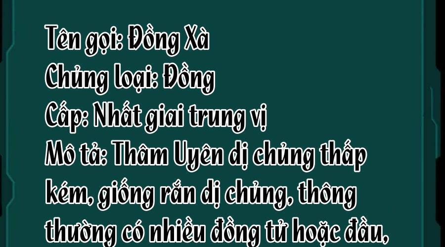 Ta, Người Chỉ Cần Nhìn Thấy Thanh Máu, Có Thể Trừng Phạt Thần Linh