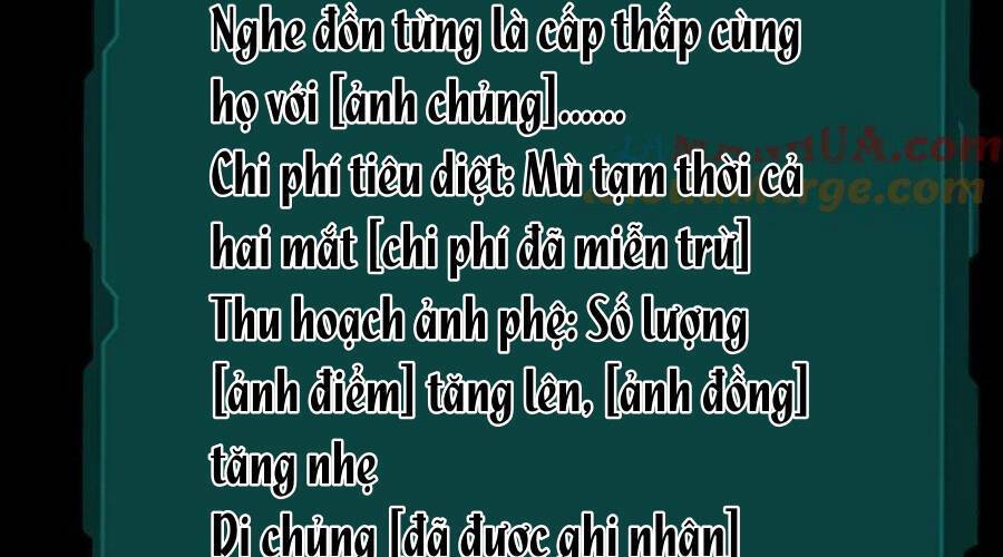 Ta, Người Chỉ Cần Nhìn Thấy Thanh Máu, Có Thể Trừng Phạt Thần Linh