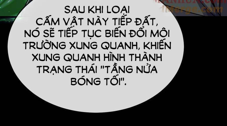Ta, Người Chỉ Cần Nhìn Thấy Thanh Máu, Có Thể Trừng Phạt Thần Linh