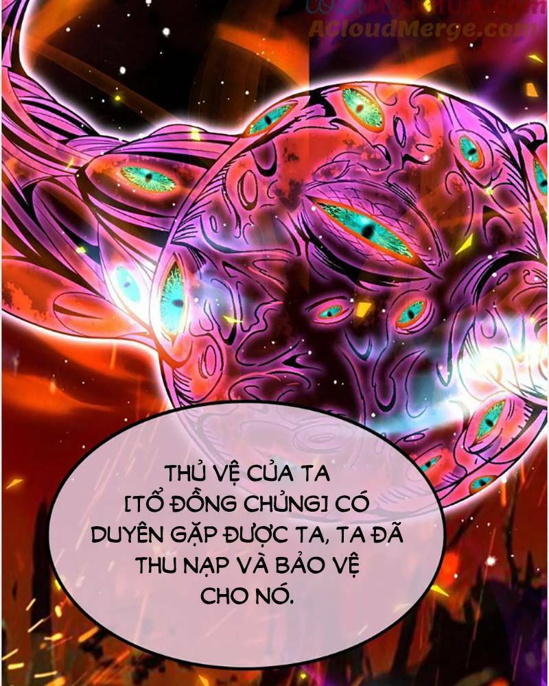 Ta, Người Chỉ Cần Nhìn Thấy Thanh Máu, Có Thể Trừng Phạt Thần Linh