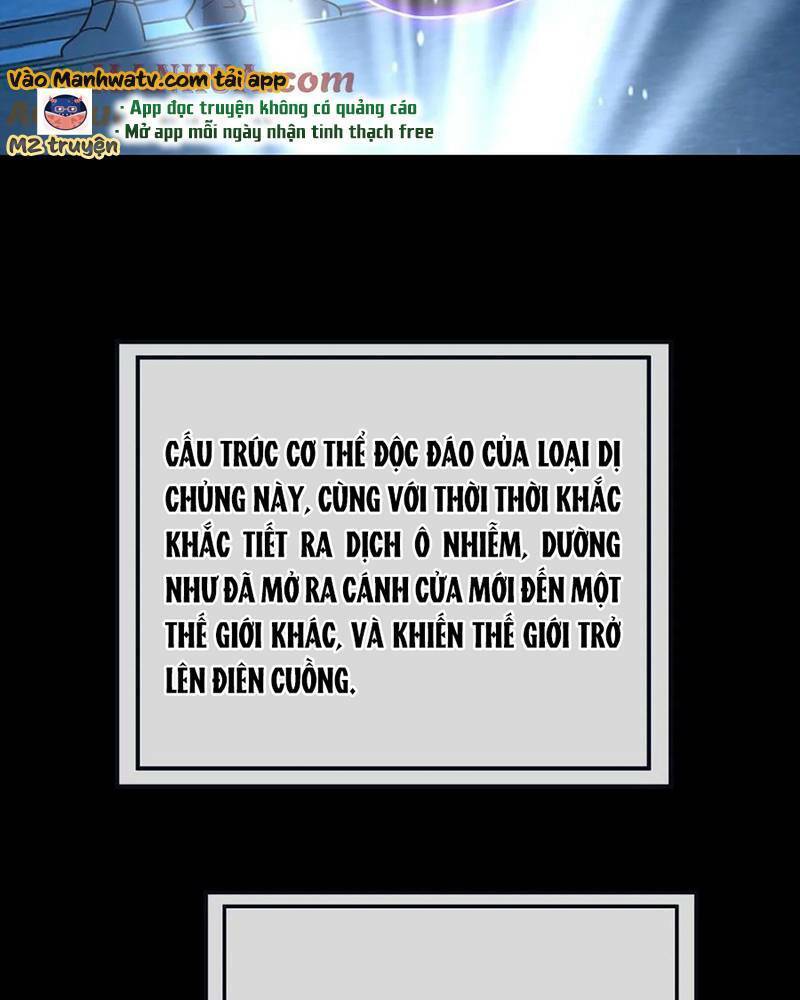 Ta, Người Chỉ Cần Nhìn Thấy Thanh Máu, Có Thể Trừng Phạt Thần Linh