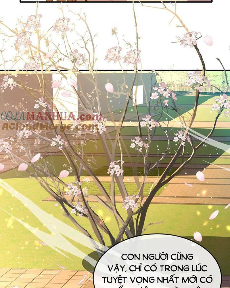 Ta, Người Chỉ Cần Nhìn Thấy Thanh Máu, Có Thể Trừng Phạt Thần Linh