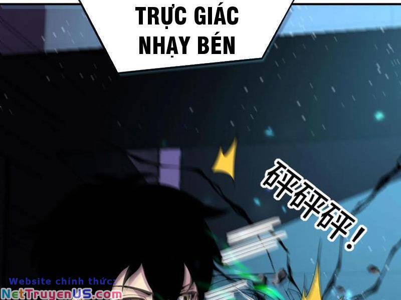 Ta, Người Chỉ Cần Nhìn Thấy Thanh Máu, Có Thể Trừng Phạt Thần Linh