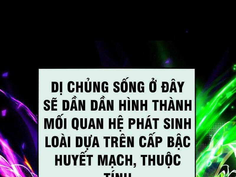 Ta, Người Chỉ Cần Nhìn Thấy Thanh Máu, Có Thể Trừng Phạt Thần Linh