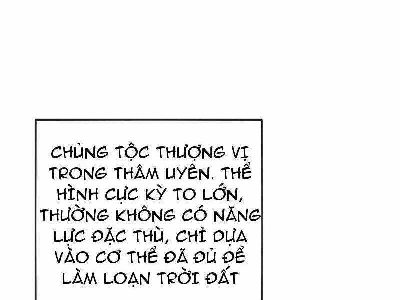 Ta, Người Chỉ Cần Nhìn Thấy Thanh Máu, Có Thể Trừng Phạt Thần Linh