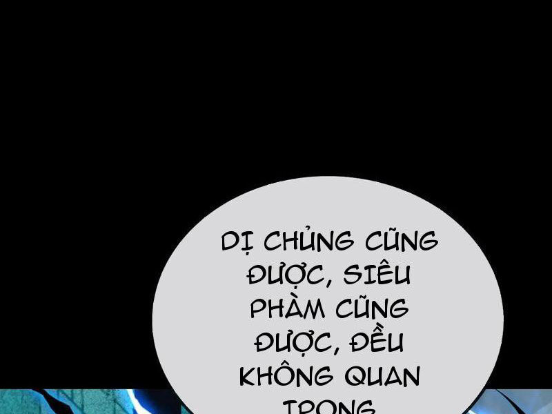 Ta, Người Chỉ Cần Nhìn Thấy Thanh Máu, Có Thể Trừng Phạt Thần Linh