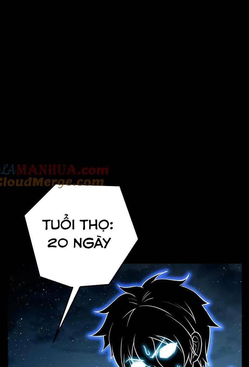 Ta, Người Chỉ Cần Nhìn Thấy Thanh Máu, Có Thể Trừng Phạt Thần Linh