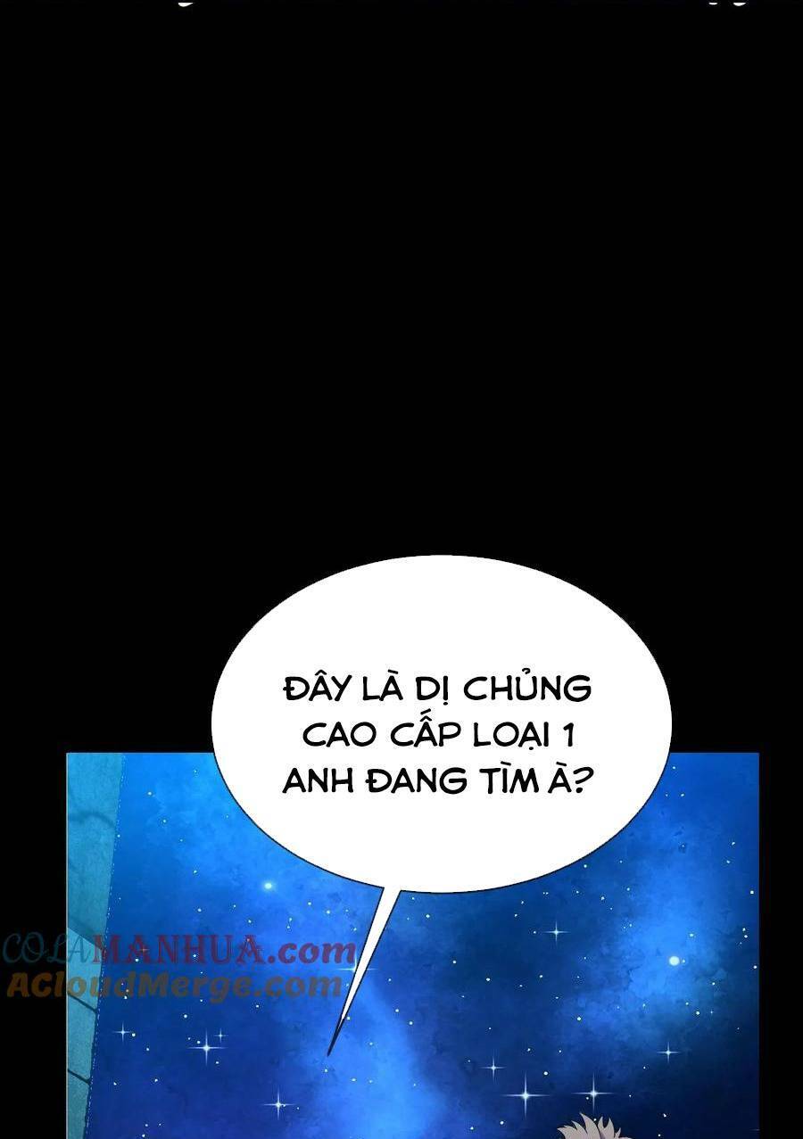 Ta, Người Chỉ Cần Nhìn Thấy Thanh Máu, Có Thể Trừng Phạt Thần Linh