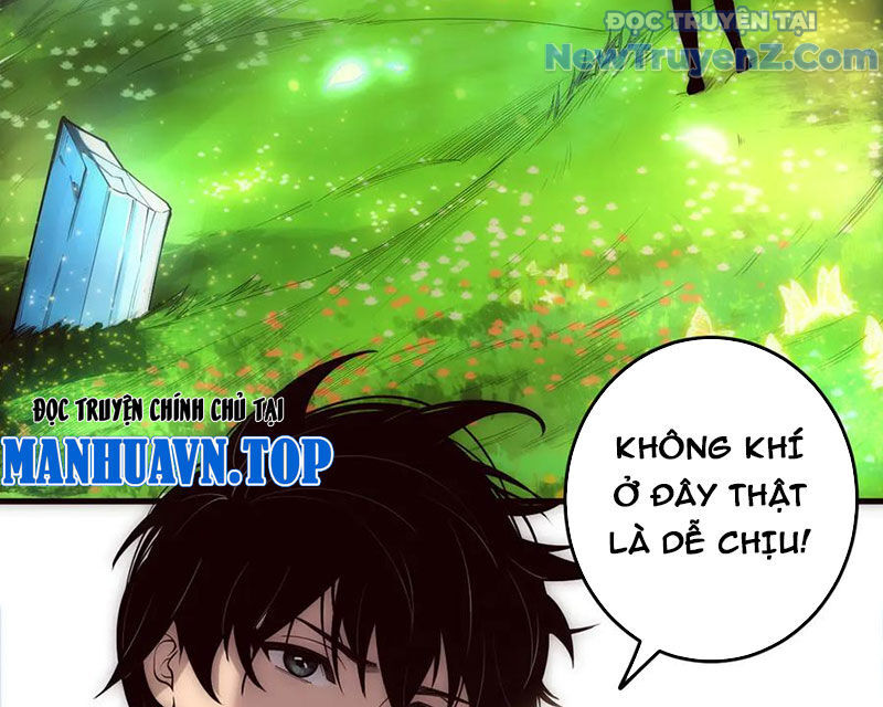 Thảm Họa Tử Linh Sư
