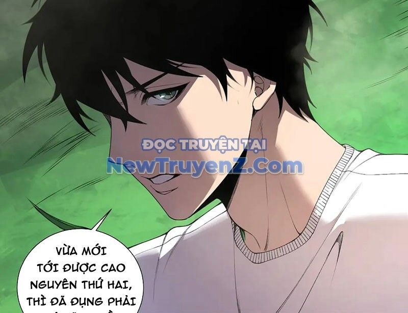 Thảm Họa Tử Linh Sư