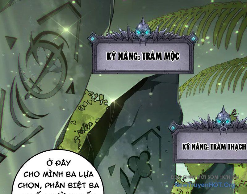 Thảm Họa Tử Linh Sư