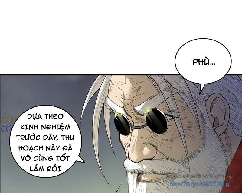 Thảm Họa Tử Linh Sư