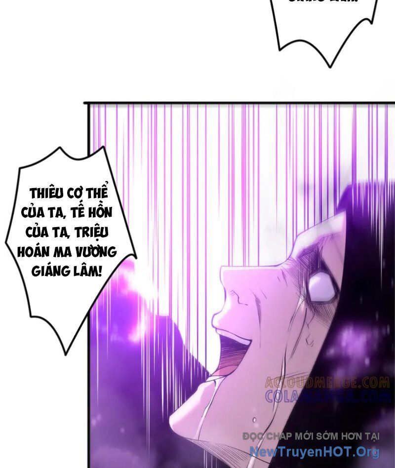 Thảm Họa Tử Linh Sư