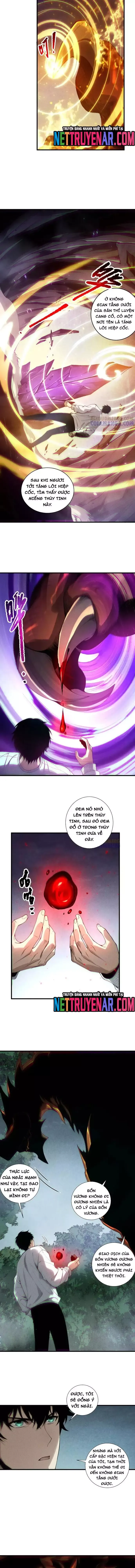 Thảm Họa Tử Linh Sư