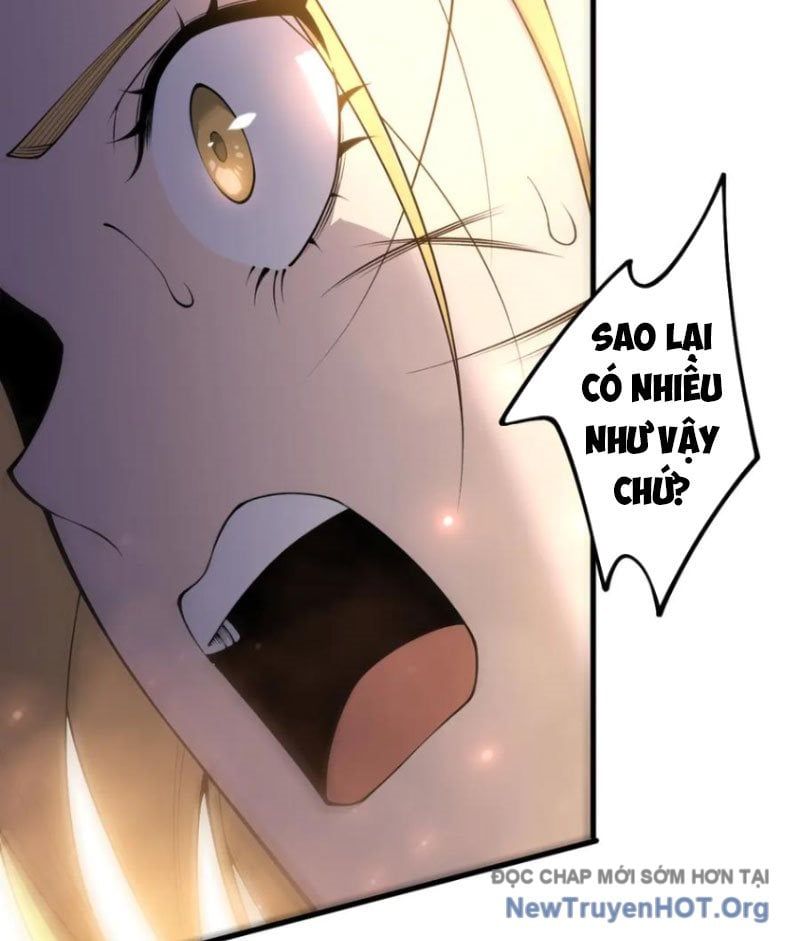 Thảm Họa Tử Linh Sư