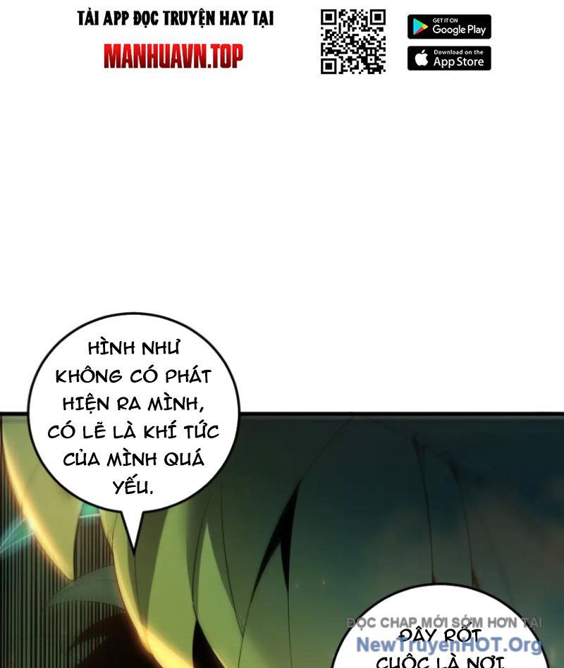 Thảm Họa Tử Linh Sư