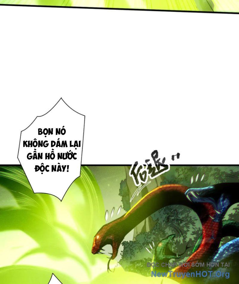 Thảm Họa Tử Linh Sư