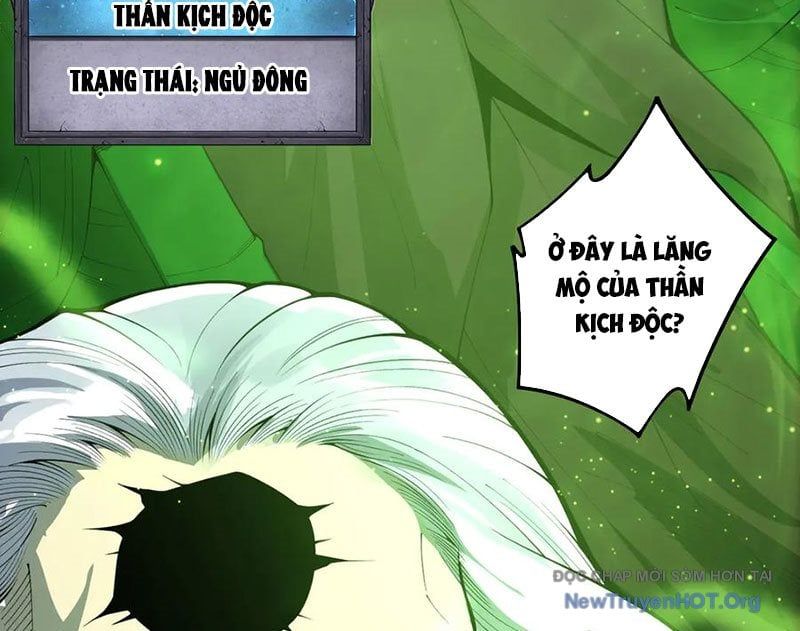 Thảm Họa Tử Linh Sư