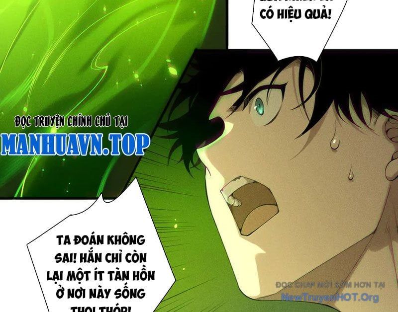 Thảm Họa Tử Linh Sư