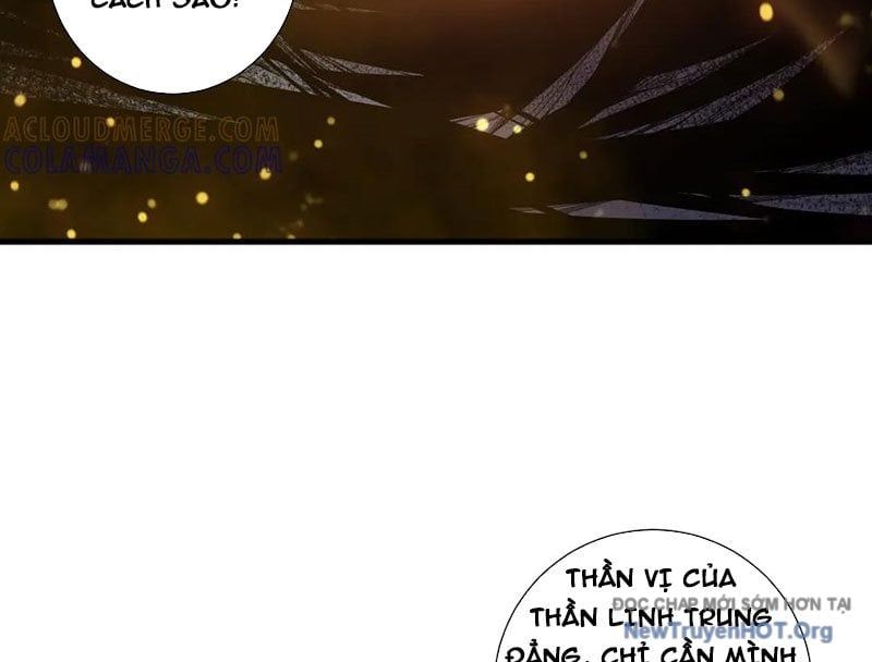 Thảm Họa Tử Linh Sư
