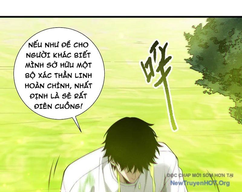 Thảm Họa Tử Linh Sư