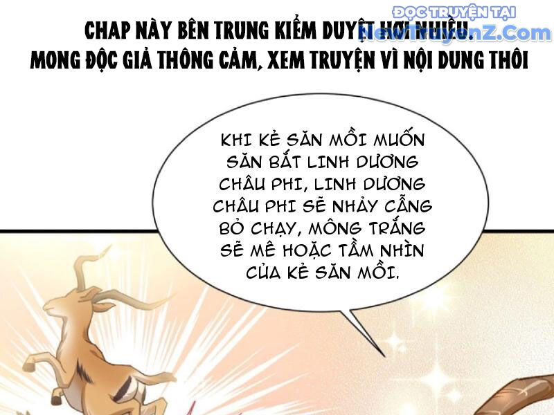 Bỏ làm simp chúa, ta có trong tay cả tỉ thần hào