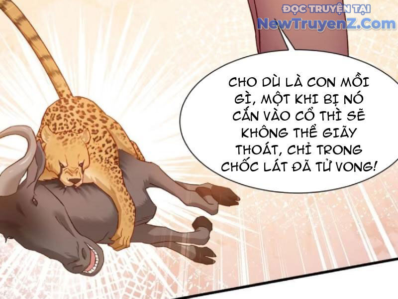 Bỏ làm simp chúa, ta có trong tay cả tỉ thần hào