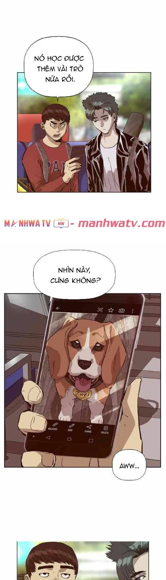 Anh Hùng Yếu