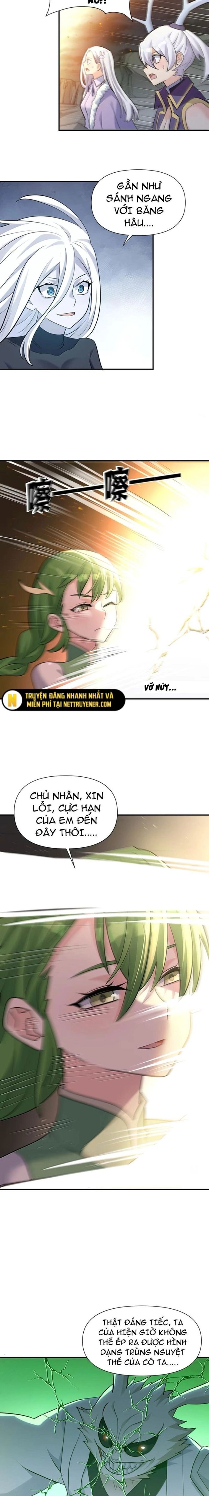 Thế nhân thực sự tin tôi là đại boss