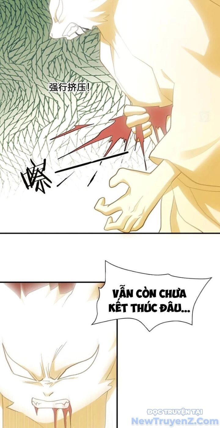 Thế nhân thực sự tin tôi là đại boss