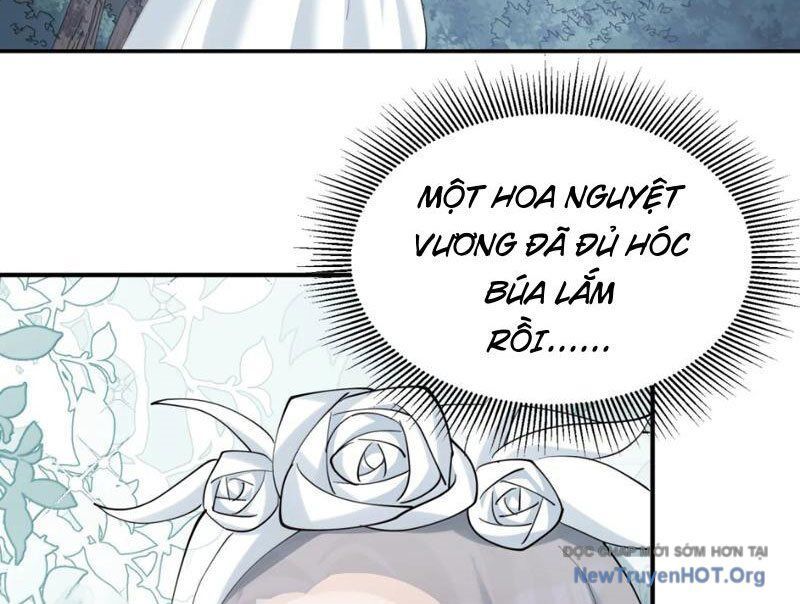 Thế nhân thực sự tin tôi là đại boss