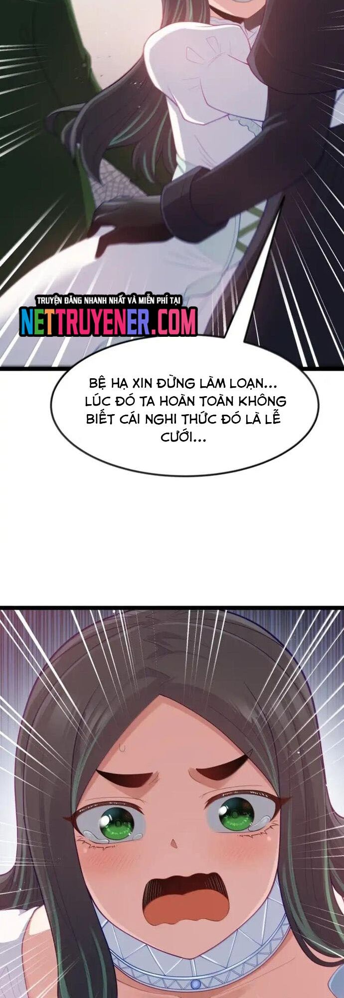 Anh Hùng Giai Cấp Tư Sản