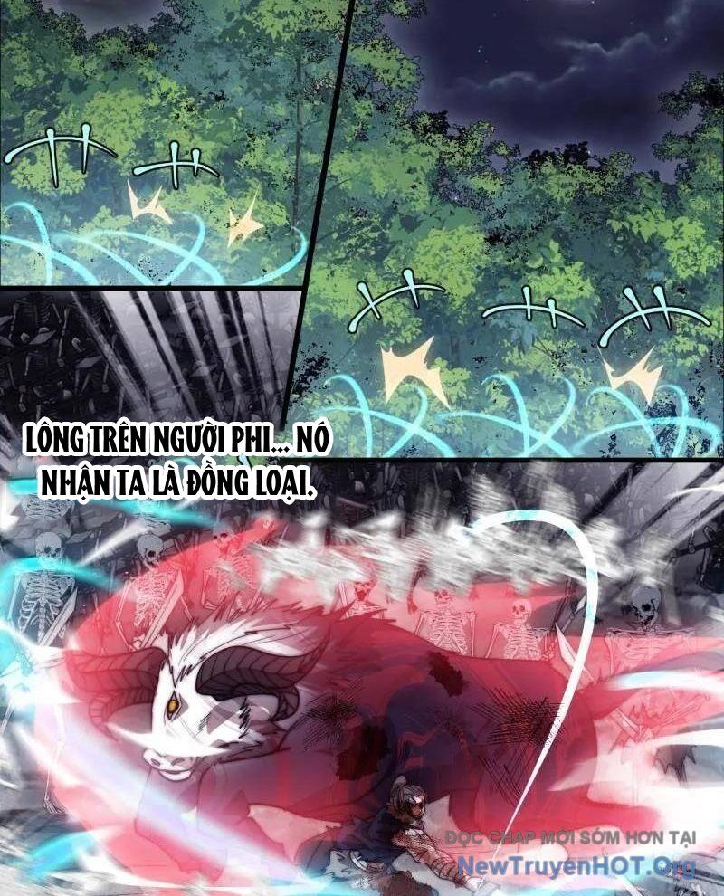 Ta Có Một Sơn Trại